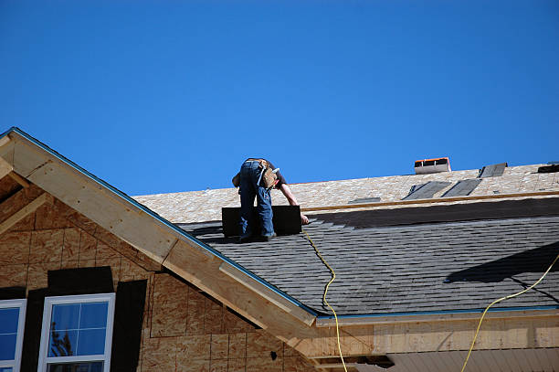 Best Roof Moss and Algae Removal  in Waawa, HI
