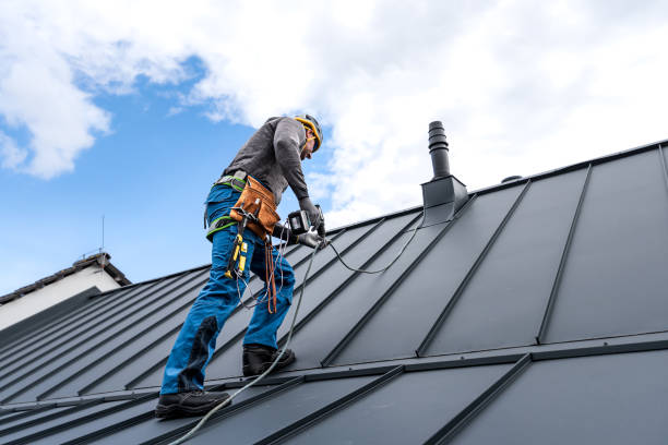 Best Steel Roofing  in Waawa, HI