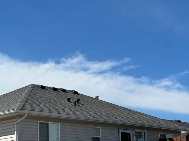 Best Metal Roofing Installation  in Waawa, HI